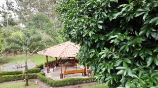 Romantic Cabin in the Forest, Valle Azul, Bungalows Tulipanes CR - San Ramón - 2