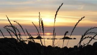 Maison reposante face à la mer avec accès plage - 8