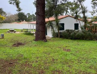 Maison typique île de ré - 8