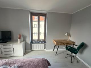 Euro Loft Old Town Apartament - Danzig - 6