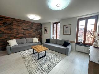 Euro Loft Old Town Apartament - Danzig - 1