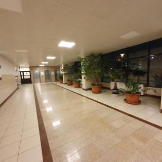 Park Saski Przechodnia - Varsavia - 4