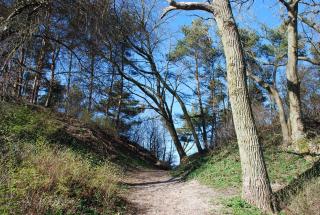 Domyletnie Sarbinowo 8e dom 86m2 z ogrodzoną działką - Sarbinowo - 5