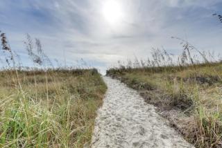 The Beach Is Back - Myrtle Beach - 8