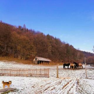 Oddychový pobyt na rodinnej farme - Matiaška - 7