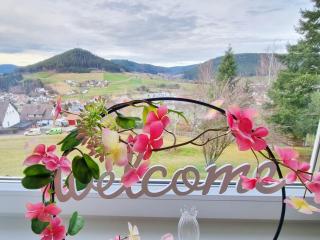 FeWo mit Pool in Baiersbronn - Baiersbronn - 9