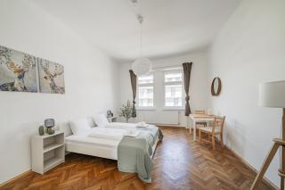 spacious studio in vienna - Vienna - 0
