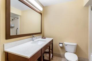 Comfort Suites Bush Intercontinental Airport - Houston - 9