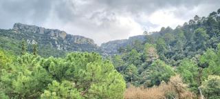 Brisa de Utrero - Arroyo Frio - 1