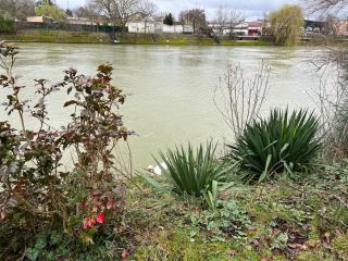 Villa bords de Marne bois Vincennes - Nogent-sur-Marne - 7