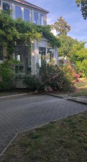 Villa bords de Marne bois Vincennes - Nogent-sur-Marne - 9