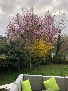 Villa bords de Marne bois Vincennes - Nogent-sur-Marne - 8
