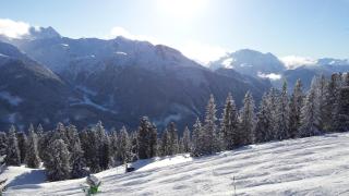 Landhaus Tirol - 2