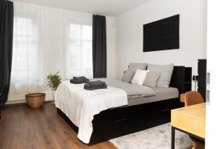 City Apartment am Zoo & Stadtkern - 6