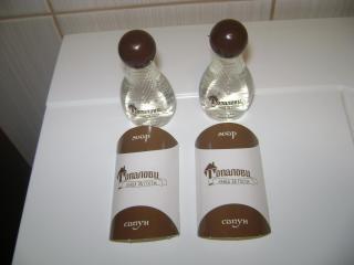 Topalovi Guest House - Slatograd - 9