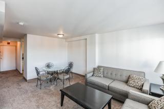 Pp 1114 Beautiful Professional 1br Apt, Pool - Harrisburg - 7