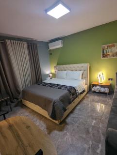 Spiranca Luxury Apartments - Tirana - 8