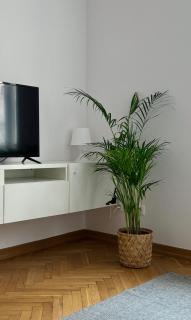 Apartament K3 - Warsaw - 5