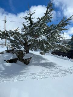 Casa dos Pinheiros - Serra da Estrela - Penhas da Saúde - 8