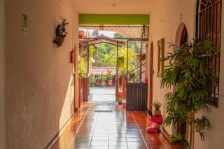 Casa San Jerónimo - Puerto Escondido - 6