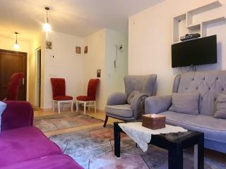 Family 2bhk - AIR MALL - BGhomes - 0