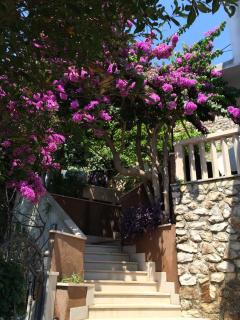Holiday Home Mala Duba - Živogošće - 6