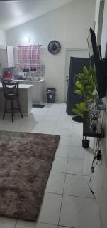 Finest Accommodation Phoenix Park Phase 4 Lot # 1348 Portmore St Catherine - Portmore - 6