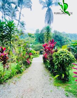 La Purruja Lodge - Golfito - 5