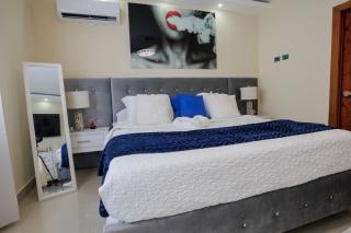Luxury Penthouse - San Francisco de Macorís - 7