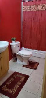 Finest Accommodation Caribbean Estate C48 Piton Place Dominica Portmore St Catherine - Portmore - 9
