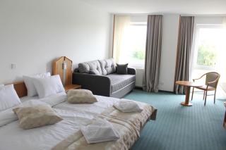 Hotel Bessunger Forst - Roßdorf - 2