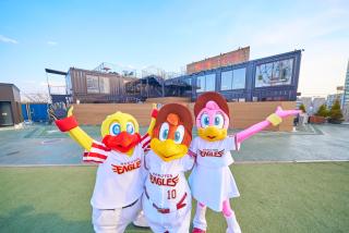 Rakuten STAY x EAGLES - 2