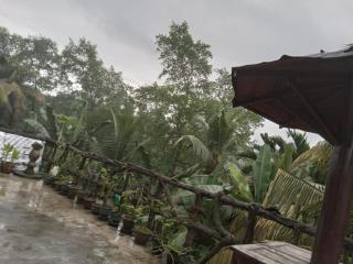 Galle Paradise Inn - 9