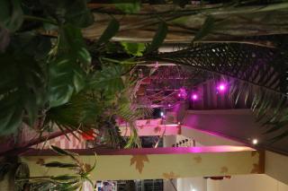 The Elite Apartment Hotel - 8