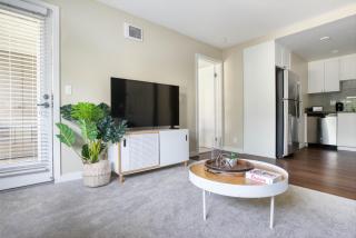 La Jolla 1br w gym wd pool nr bars shops SAN-44 - San Diego - 9