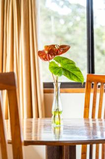 Volcano Inn Bed n Breakfast - Volcano - 2