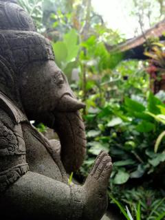 Tanah Semujan Ubud - Ubud - 9