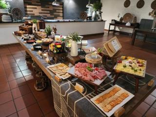 Karongwe- Shiduli Safari Lodge - 2