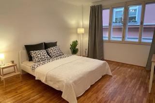 mariahilfer street apartment - Vienne - 0