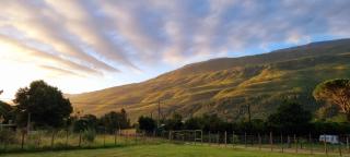 The Dreamcatcher's View - 4