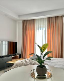 Single Room A503 StayInn by Cosmopolis - Ştefăneştii de Jos - 9