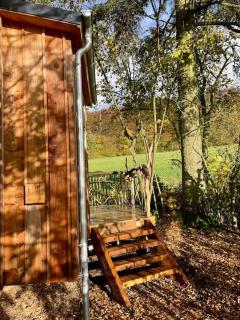 Eulennest - Tiny House im Habichtswald - Schauenburg - 4