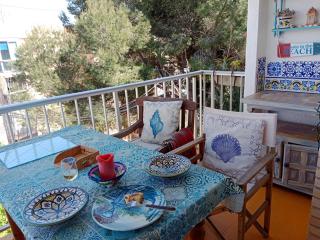 Beach apartment,two terraces,parking & WIFI - Denia - 0