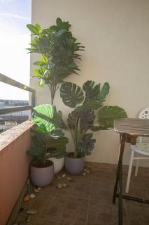 Relax studio - Le Mée-sur-Seine - 4
