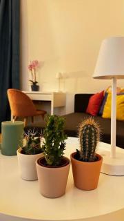 Light holiday home - Palermo - 8