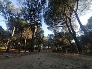 Agricampeggio La Pineta - Lesina - 9