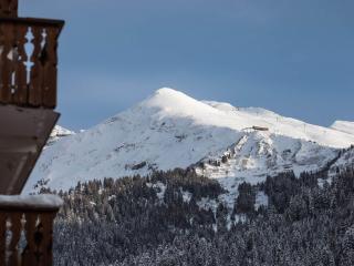 Appartement 2 pièces avec terrasse exposée sud, proche des pistes et commerces, garage inclus - FR-1-304-54 - La Clusaz - 3