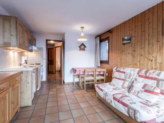 Studio 26m² plein sud, proche pistes et commerces, La Clusaz, garage inclus - FR-1-304-81 - La Clusaz - 0