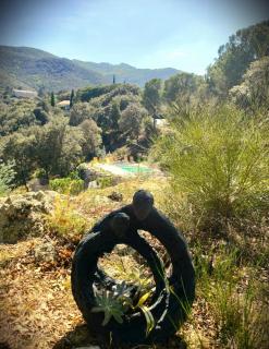 les gîtes du Mas ANNA - Céret - 5