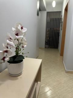 City Apartments - Tirana - 1
